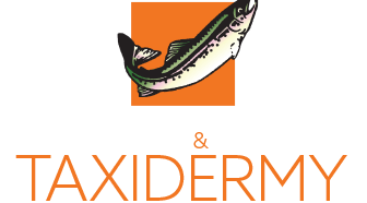 Delaware & Hudson Taxidermy